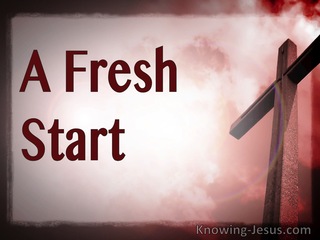  A Fresh Start (devotional)01-29 (pink)